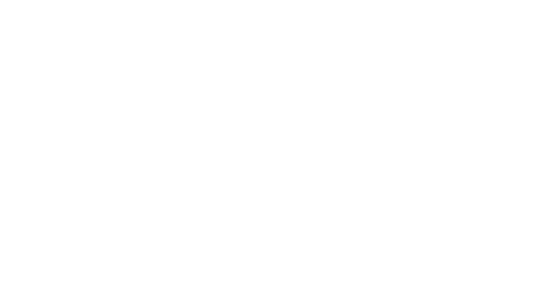 CNS Investment